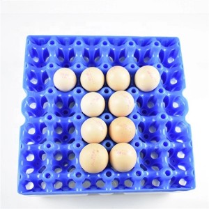 #پروڈکٹ کا نام: پلاسٹک کے انڈے کی ٹرے #پروڈکٹ نمبر: Amal-0491 #مصنوعات کا مواد: PET #پیکنگ: 50/بنڈل #پروڈکٹ کا سائز: 30*30*5cm یا حسب ضرورت #پروڈکٹ کا رنگ: حسب ضرورت
